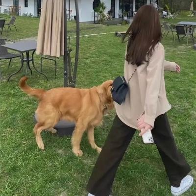 二代妖精之今生有幸